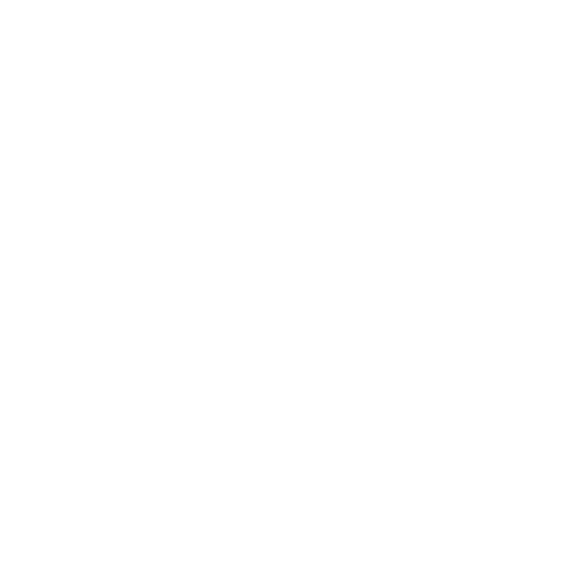protection icon